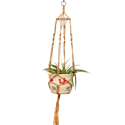 Suspension pour plantes, Bohème et apaisant