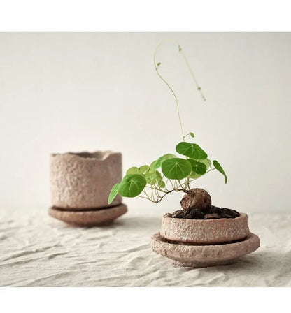 Vase en poterie brute, Pots de fleurs