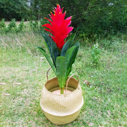 Pot de fleurs en rotin pour rangement de vêtements sales, WF1015