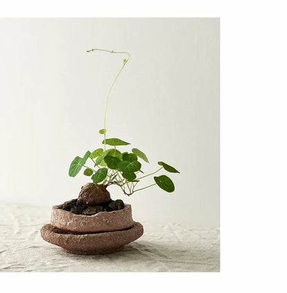 Vase en poterie brute, Pots de fleurs